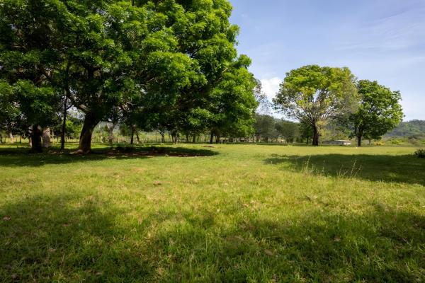 Four hectare property for urbanization in david