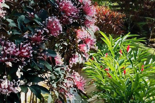 Se vende – encantadora casa de montaña en altos del maría, toscana