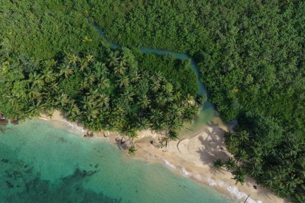 Vista de ensueño del mar y la jungla de drago