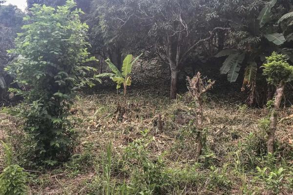 Terreno de 4 hectáreas en venta en veracruz, panamá