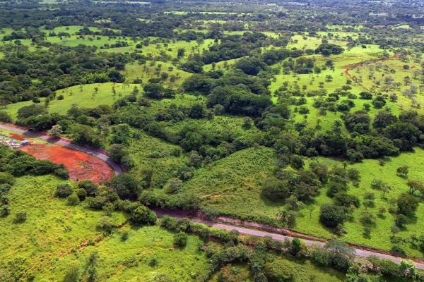 Agricultural land near david panama