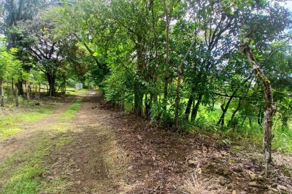 Land for sale, facing the street