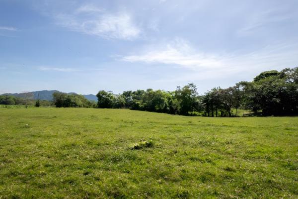 Four hectare property for urbanization in david