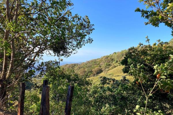 Cattle farm or private retreat