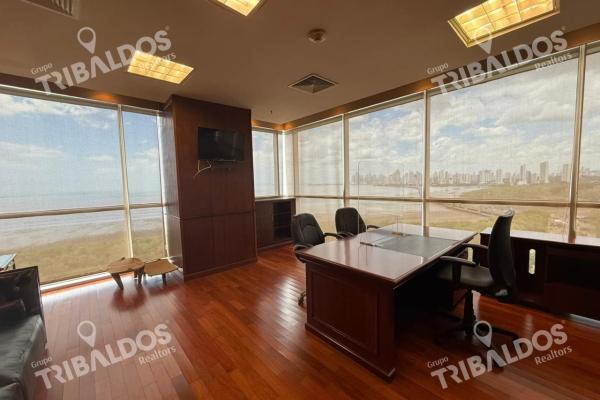Office rental at capital plaza costa del este