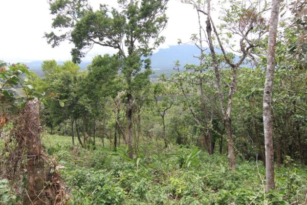 Terreno en jaramillo abajo boquete panamá