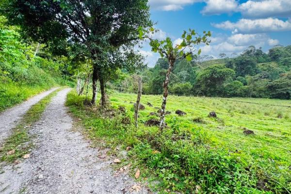 Naturaleza, espacio y potencial en un solo lugar
