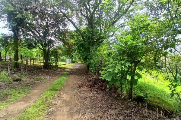 Land for sale, facing the street