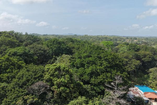 Venta de terreno en san juan colón