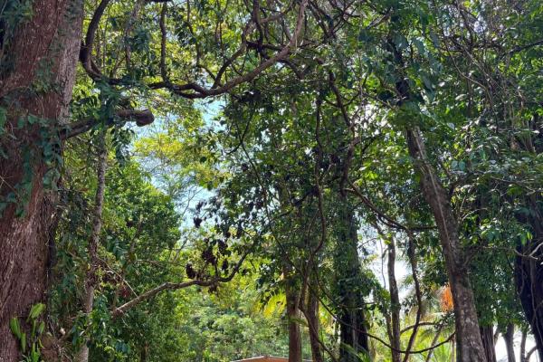 Beachfront off-grid home for sale