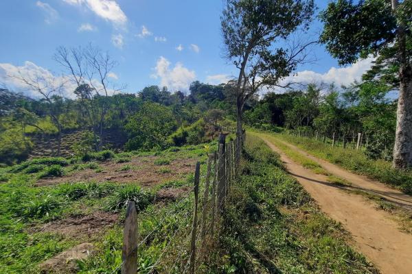 Finca agrícola en venta en renacimiento, monte lirio, palmarito.