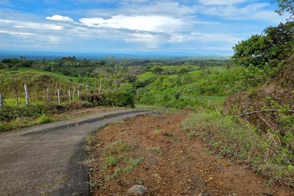 96.10 hectare in boquerón, las monjas