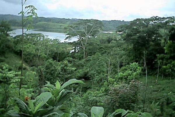 Finca en venta a orillas de lago gatún, colón