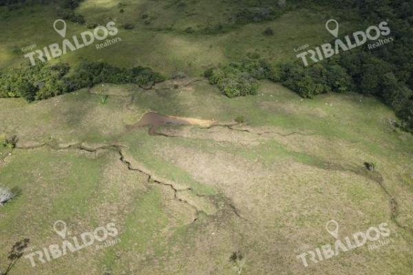 Se vende finca ganadera en margarita de chepo
