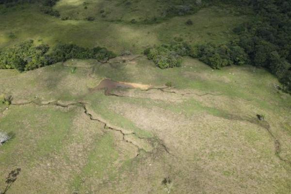 Venta de finca margarita chepo 200 has