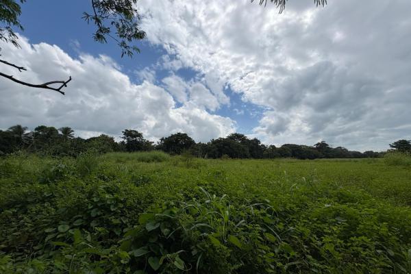 +9 hectares of flat beachfront land for sale