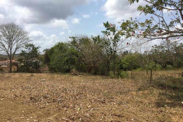 Venta de terreno en el arado, la chorrera