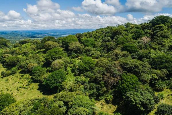 Expansive land for sale in las lomas, david
