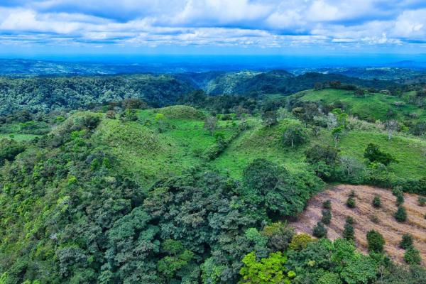 55.74 hectares of paradise in the mountains