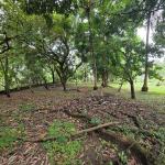 Terreno en venta en chepo