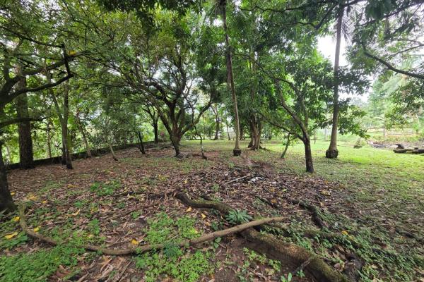 Terreno en venta en chepo