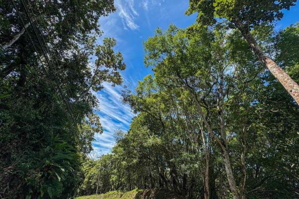 7,843 m² lot for sale in volcancito arriba