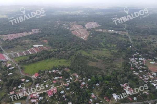 Venta de terreno para desarrollo de casas en arraijan