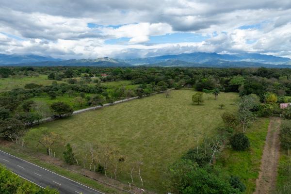 Prime flat land for sale in cochea abajo, david