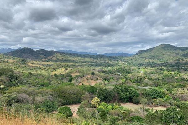Chame/bejuco land for sale