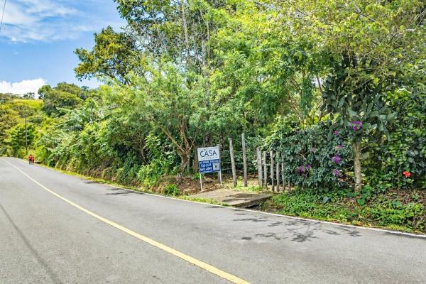 Flat coffee land with mountain views in palmira