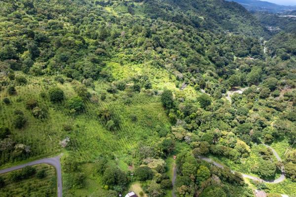 12 plus - ha producing coffee farm in boquete