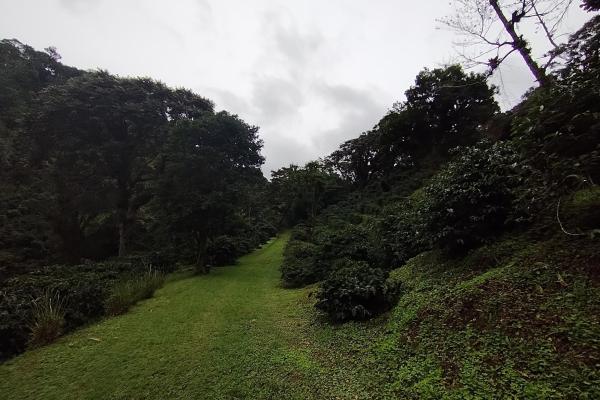 Award winner coffee farm