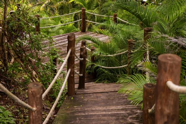 La peninsula homesite 27 – pearl island