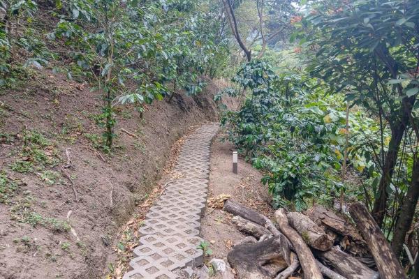 Cabaña con vistas al volcán barú en venta en jaramillo