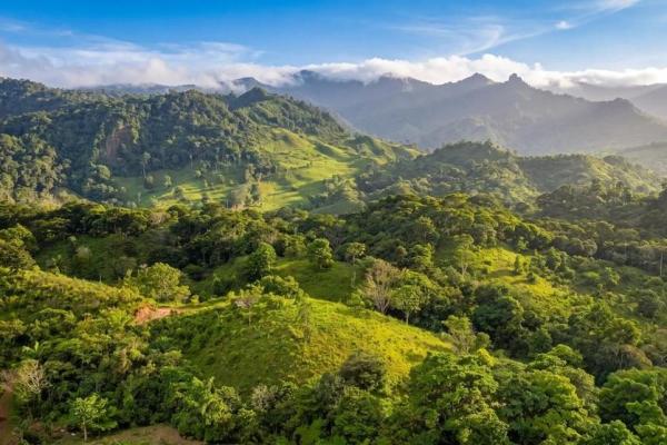Finca de café en venta en el cascajal, la pintada
