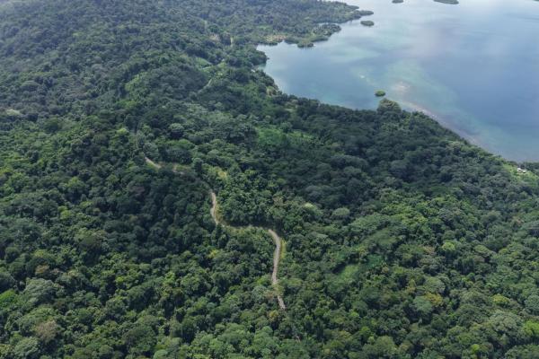 Terreno agrícola de 110 hectáreas frente al mar