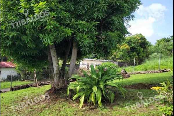 Venta de terreno con mejoras en pueblo nuevo