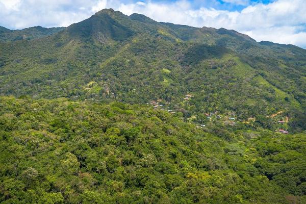 18.4 hectare land close to el cope, cocle