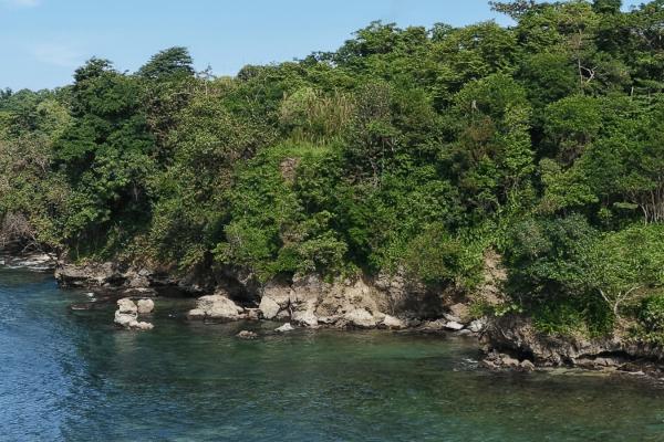 Propiedad boscosa frente al mar de 2,4 hectáreas en drago