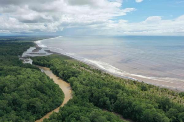 8-hectare beachfront lot for sale