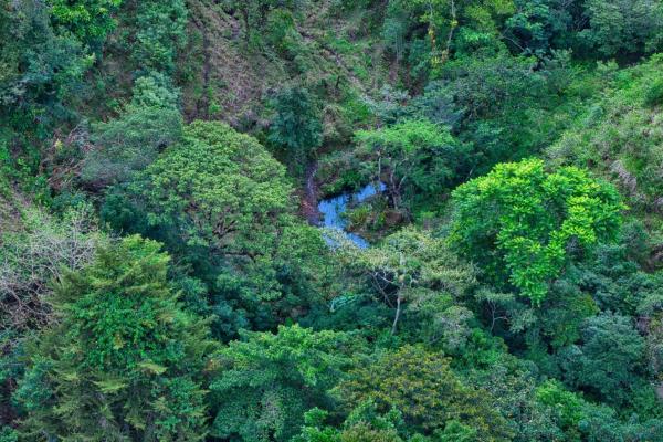 55.74 hectares of paradise in the mountains