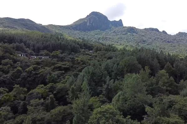 Casita de montaña y gran terreno