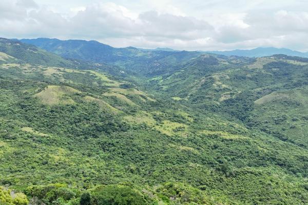 El jobo — terreno de desarrollo frente al río