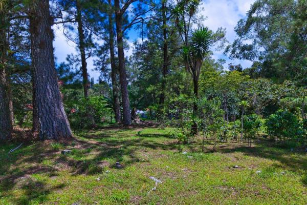 Experience the peace of volcán | land with a natural creek
