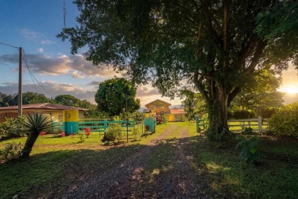 Propiedad con casa principal, 6 estudios y piscina