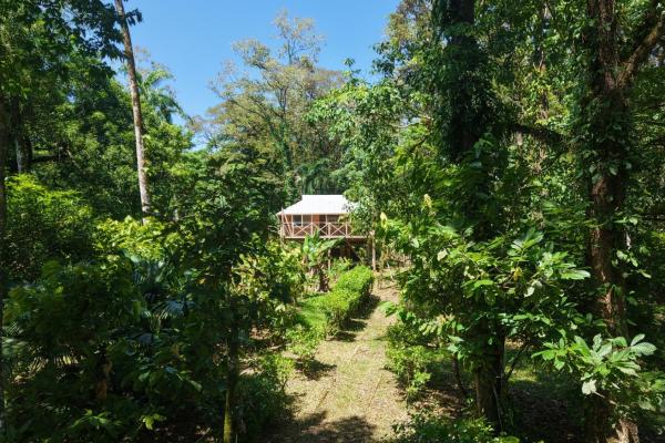 Retiro de finca de cacao de 14 hectáreas en tierra oscura