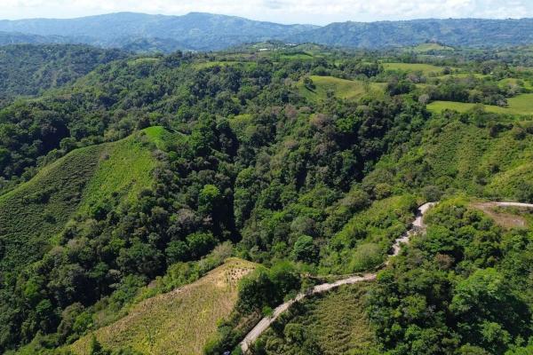 Amplia propiedad de 146.652 ha con fuentes de agua