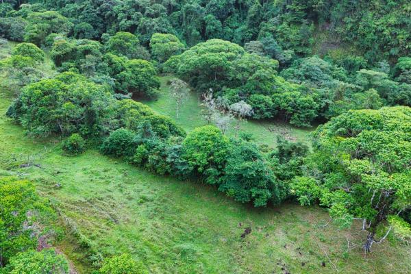 Naturaleza, espacio y potencial en un solo lugar