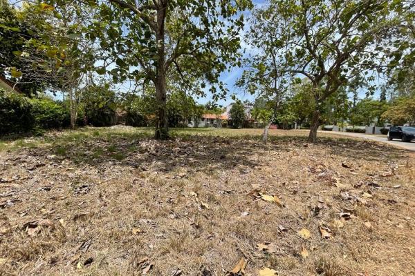 Venta de terreno con acceso al mar en rio hato