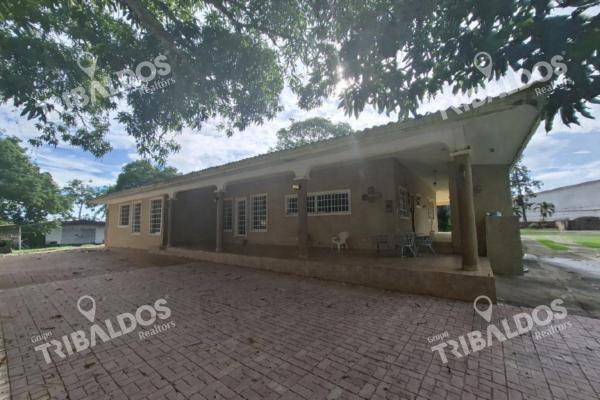 Sale of house in chorerra